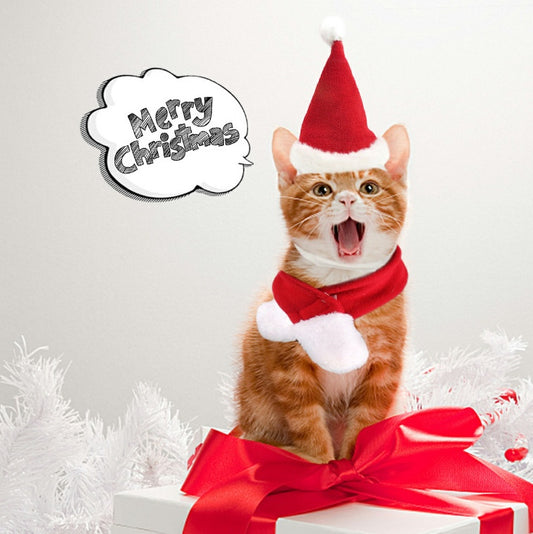 KFX-3955005 Red Short Plush Christmas Hat and Scarf Set for Small Pets