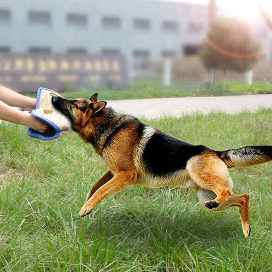 KFX-3965629 Durable Bite Pillow for Dog Training with Soft Handles and Tear-Resistant Hemp Material