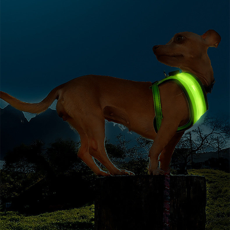 KFX-3974077 LED Dog Vest Harness with USB Charging in Multiple Colors