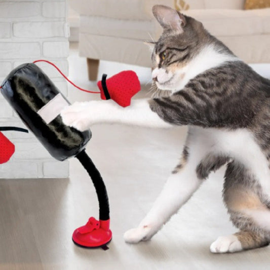 KFX-3976509 Multi-functional Silicone Cat Teasing and Boxing Toy Set