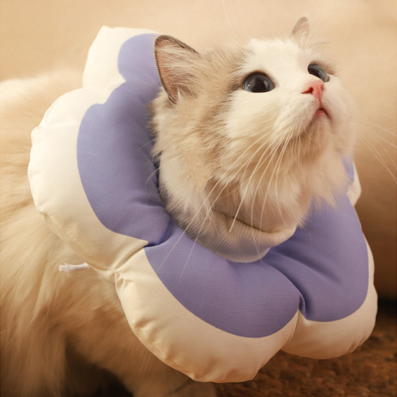 KFX-3978941 Adjustable Cat Neck Cone with Cute Solar Flower Design - Anti-Bite Coverage for Pet Surgery