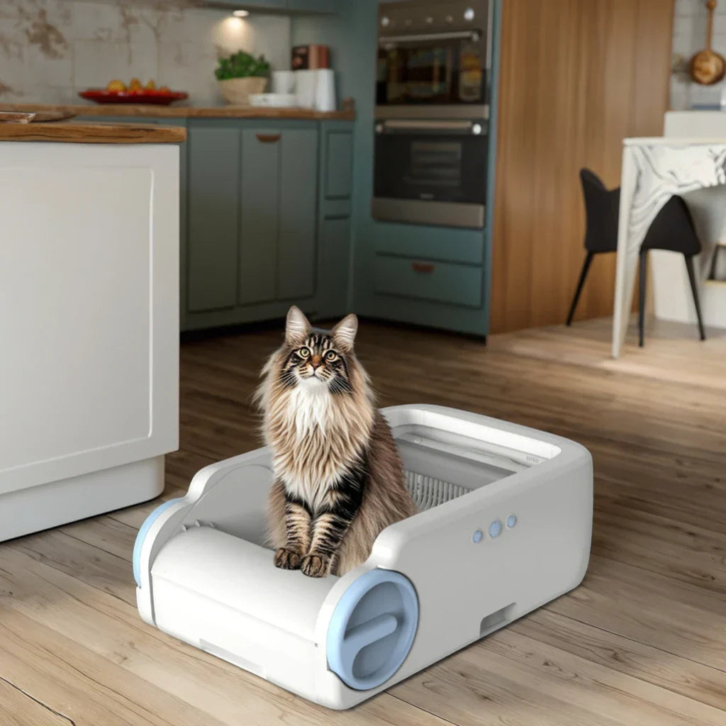 KFX-397907 Smart Cat Litter Box with APP Control and Automatic Cleaning, Anti-Bacterial Material, Easy to Clean, Various Sizes