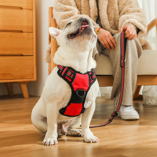 KFX-3980733 Adjustable Dog Chest Strap Vest - Explosion-Proof for Enhanced Safety and Comfort