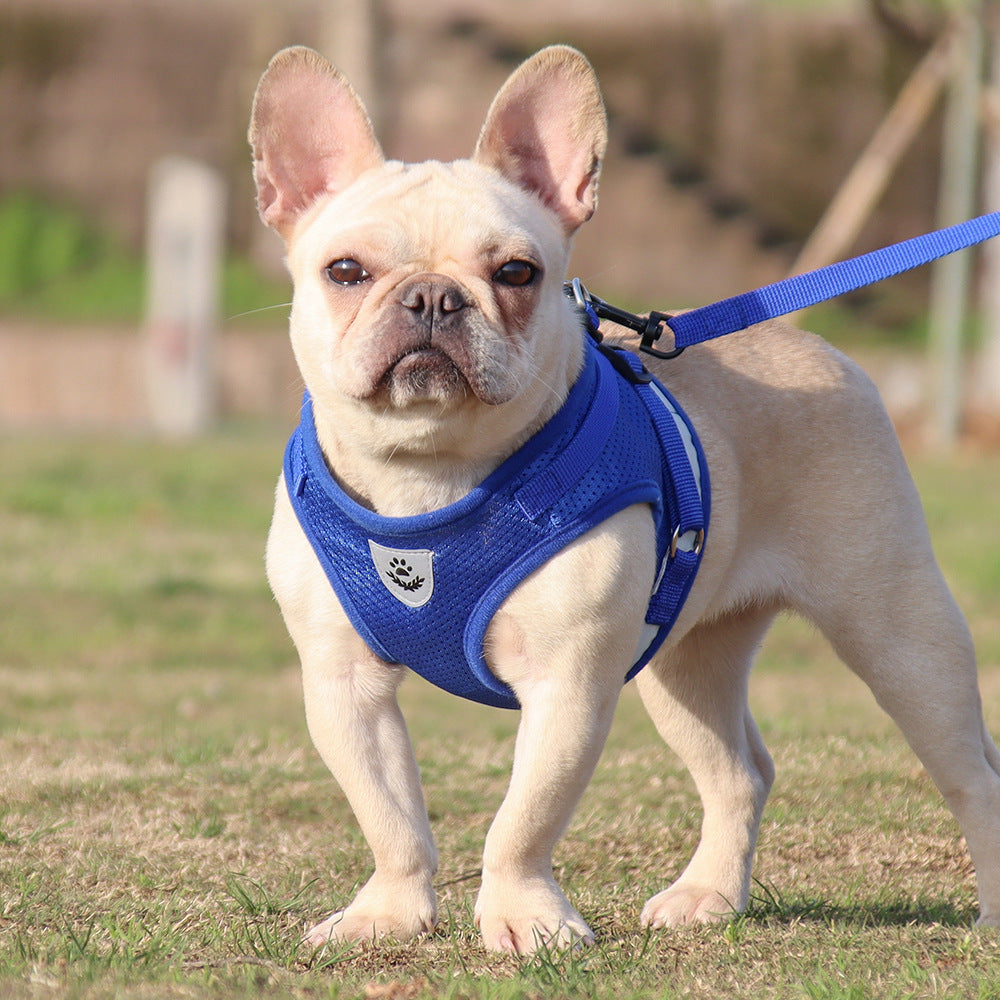 KFX-3986493 Reflective Summer Chest Strap for Small Dogs in Multiple Colors