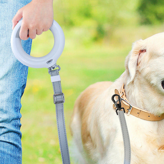 KFX-3987005 Adjustable Luminous LED Dog Leash with Lithium Battery - 2 Meters Long