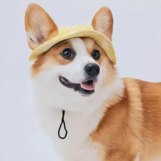 KFX-3991997 Breathable Sun Hat for Dogs with Exposed Ears in Various Colors and Sizes