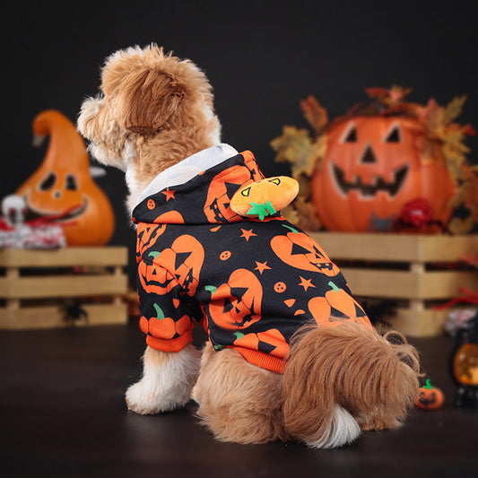 KFX-3992765 Cozy Orange Pumpkin Sweater for Dogs and Cats - Multiple Sizes Available