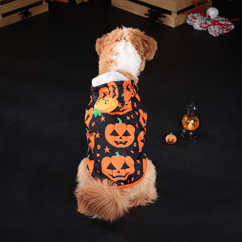 KFX-3992765 Cozy Orange Pumpkin Sweater for Dogs and Cats - Multiple Sizes Available