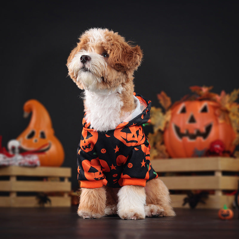 KFX-3992765 Cozy Orange Pumpkin Sweater for Dogs and Cats - Multiple Sizes Available