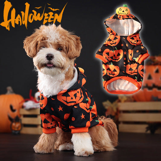 KFX-3992765 Cozy Orange Pumpkin Sweater for Dogs and Cats - Multiple Sizes Available