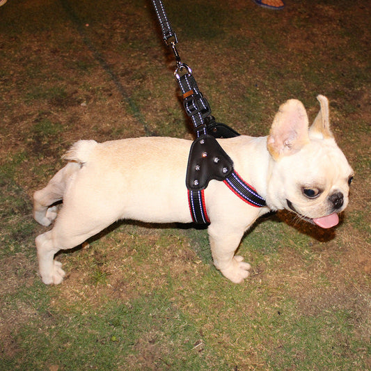 KFX-4002493 Reflective Rhinestone Pet Traction Sleeve with Nylon Strap - Available in Multiple Colors