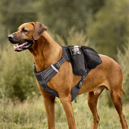 KFX-4008253 Comfortable Waterproof Pet Walking Leash with Chest Strap in Black and Army Green