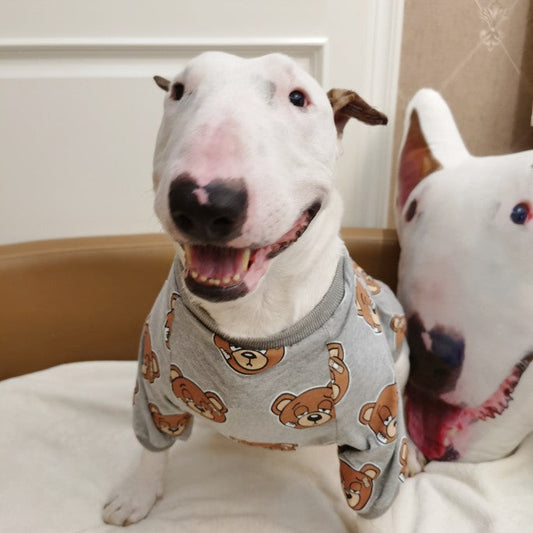 KFX-4009021 Cute Bear Print Dog T-Shirt in Gray, Sizes S to 3XL