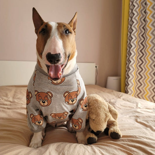 KFX-4009021 Cute Bear Print Dog T-Shirt in Gray, Sizes S to 3XL