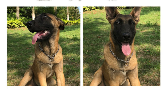 KFX-4010429 Stainless Steel Dog Collar Chain for German Shepherds and Rottweilers - Multiple Sizes Available