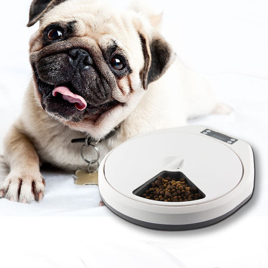 KFX-4014397 Automatic Multi-Meal Feeder for Cats and Dogs with Intelligent Timer and Food-Grade Material