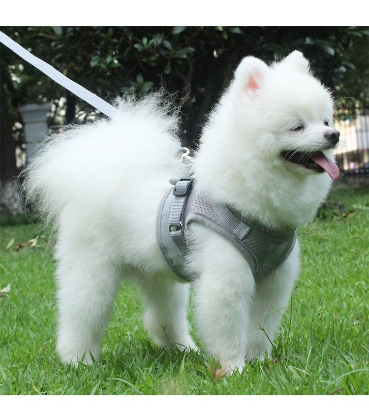 KFX-4014781 Reflective Dog Breast Strap Vest with Breathable Traction Rope - Multiple Colors Available