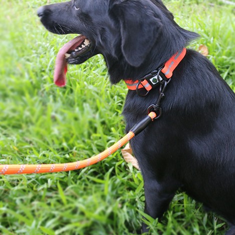 KFX-4016189 Reflective Striped Dog Harness - Waterproof, Easy-Clean, Multiple Colors Available