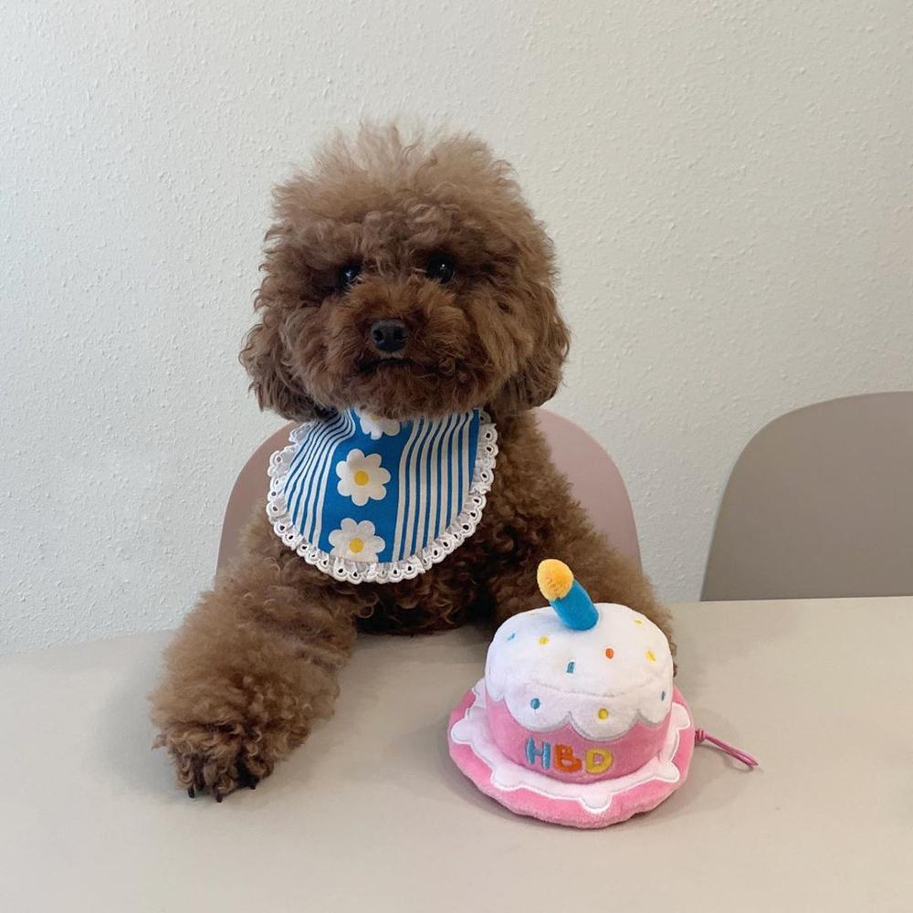 KFX-4020541 Adorable Plush Cake Birthday Hat for Dogs and Cats - Pink White, 11x12cm