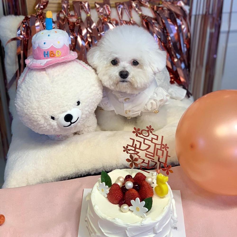 KFX-4020541 Adorable Plush Cake Birthday Hat for Dogs and Cats - Pink White, 11x12cm