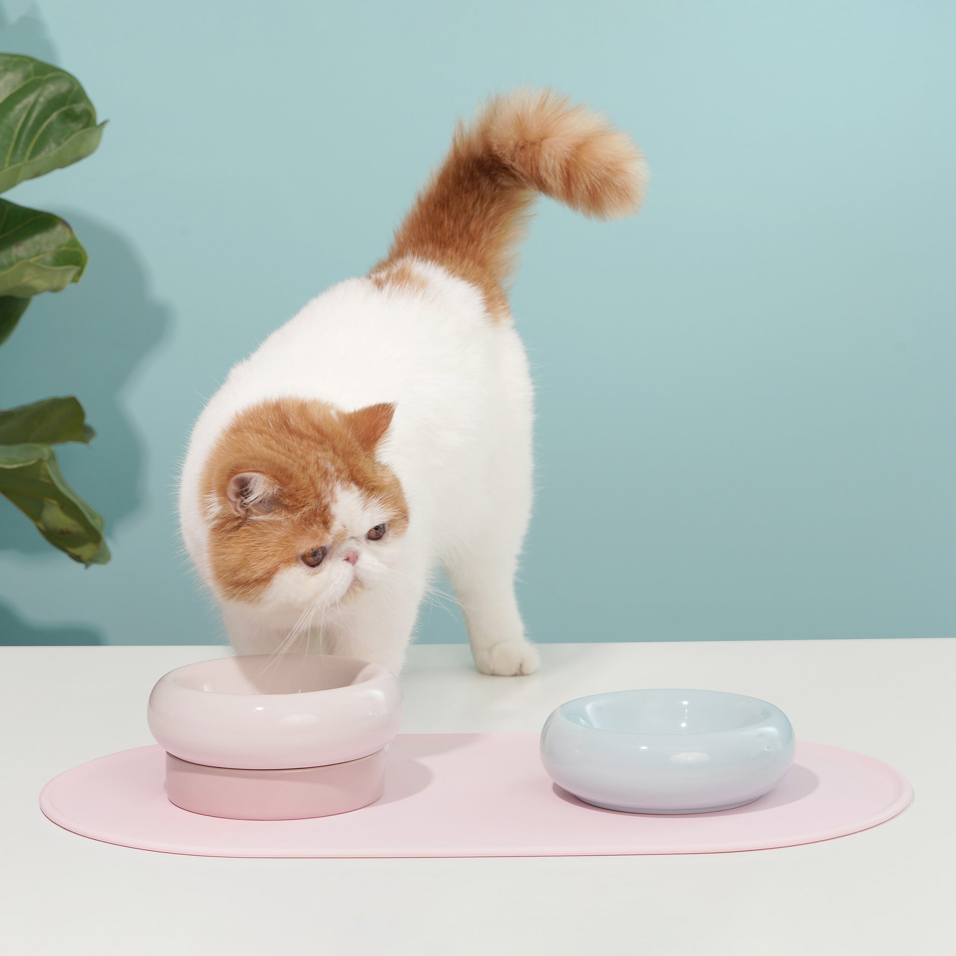 KFX-4021821 Silicone Anti-Spill Placemat in Green - Eco-Friendly, Non-Toxic, Anti-Slip Protection