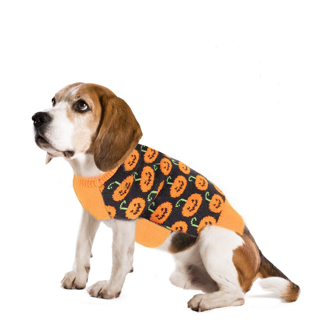 KFX-4031293 Cozy Acrylic Sweater for Dogs - Casual Autumn/Winter Clothing in Sizes XS to L