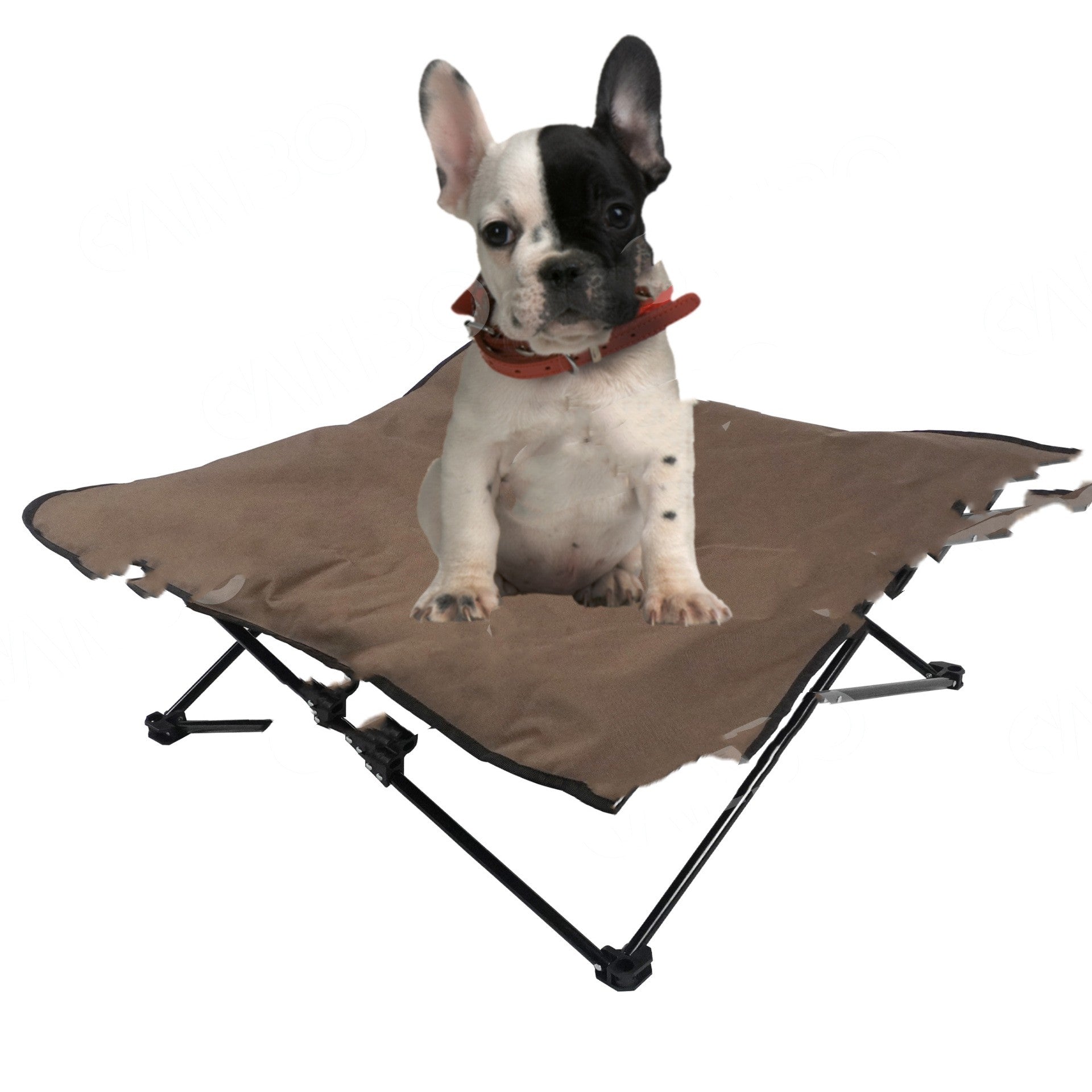 KFX-4035517 Pet March Bed with Iron Frame and Oxford Cloth Cover in Multiple Sizes
