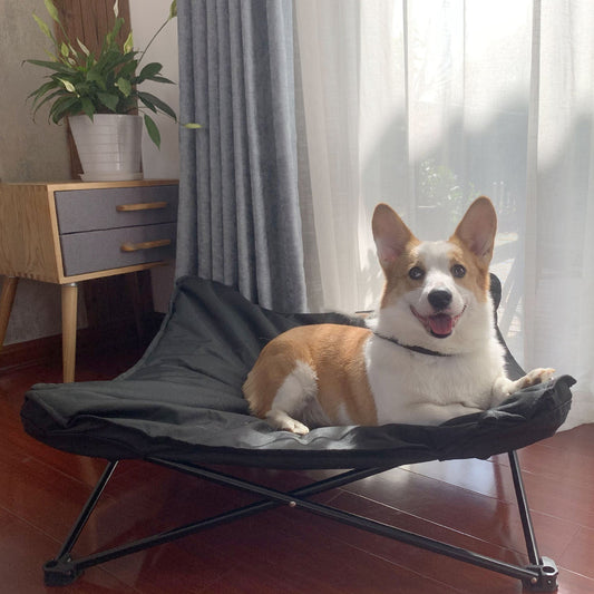 KFX-4035517 Pet March Bed with Iron Frame and Oxford Cloth Cover in Multiple Sizes