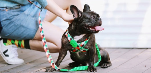 KFX-4040509 Adjustable Chest Strap for Tracheal Protection - Vest Style Pet Harness
