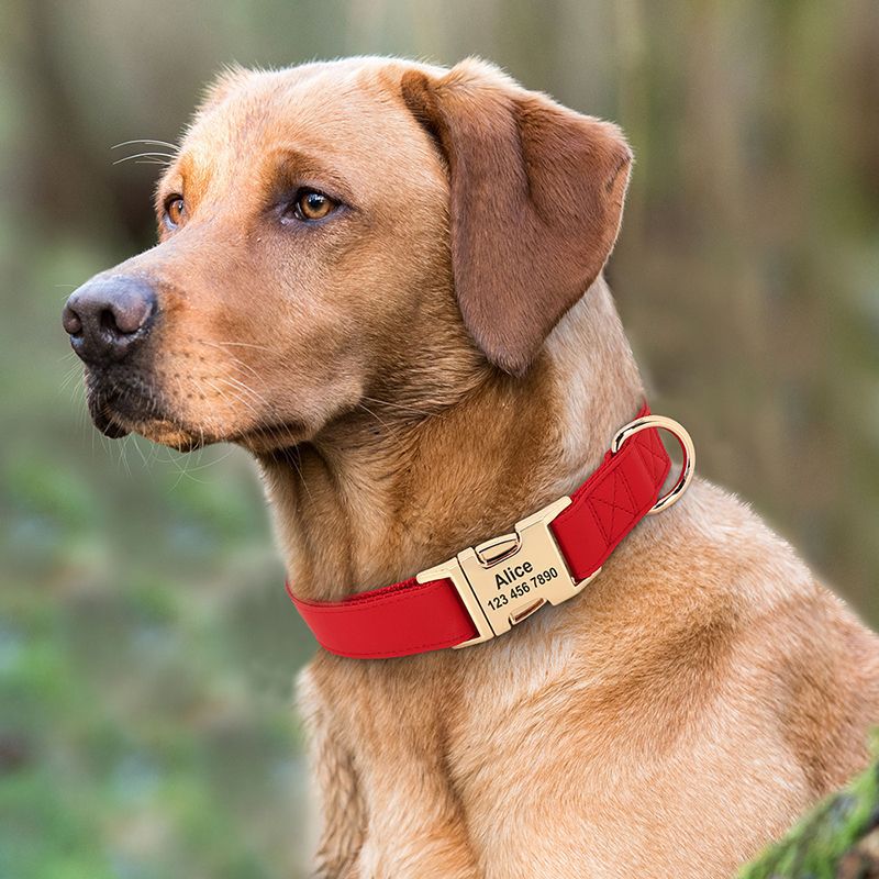 KFX-4043069 Corgi Method Adjustable Dog Collar in PU/Nylon with Alloy Fasteners