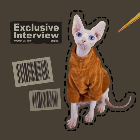 KFX-4045373 Cozy Thickened Chenille Winter Clothes for Hairless Cats in Caramel Brown