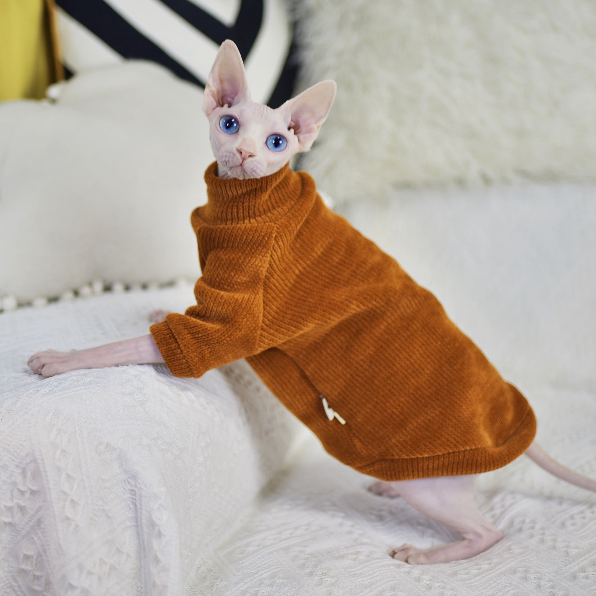 KFX-4045373 Cozy Thickened Chenille Winter Clothes for Hairless Cats in Caramel Brown