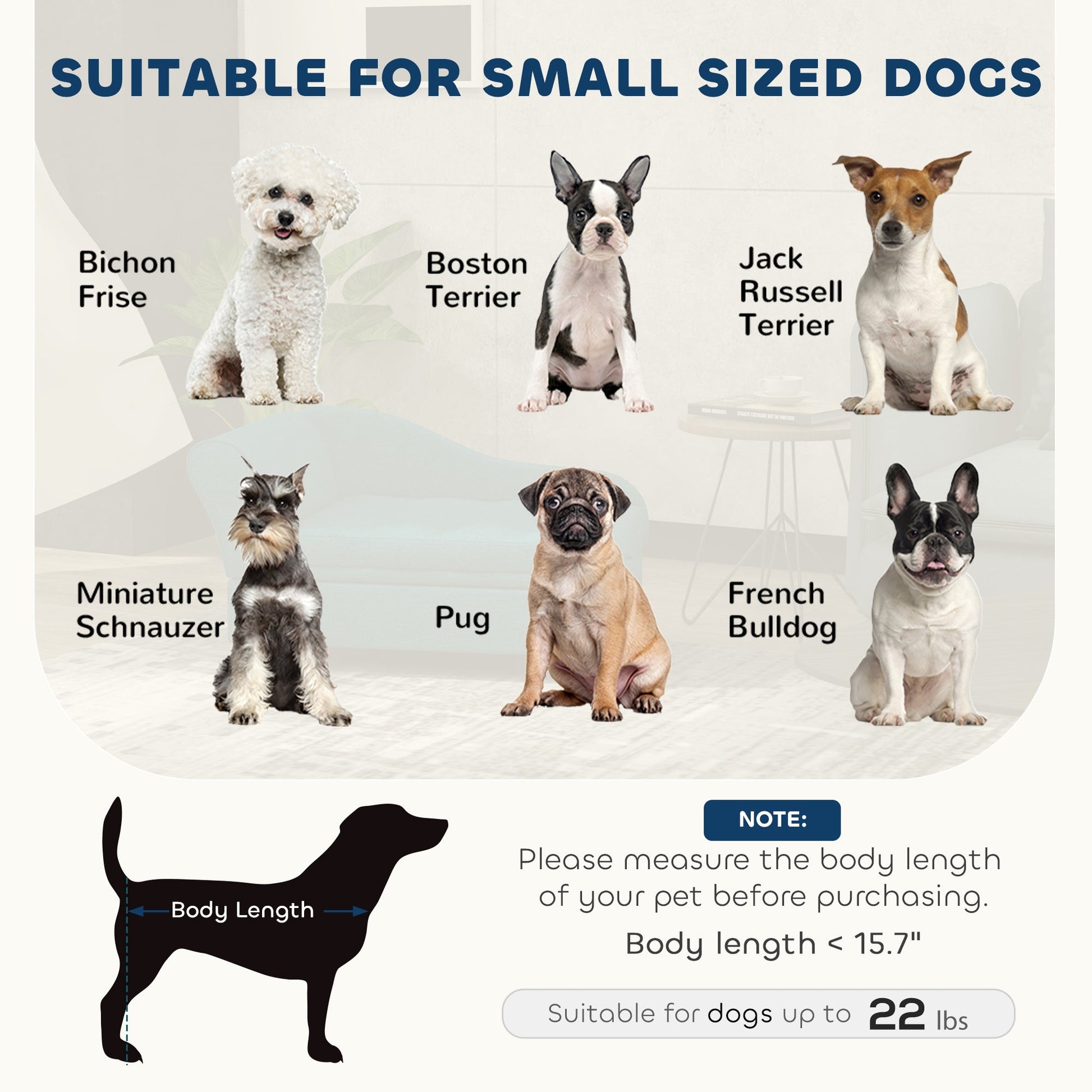 KFX-4045629 Pet Sofa Bed with Storage for Cats and Small Dogs - Thickly Cushioned, Velvety Fabric, Eucalyptus Wood Frame