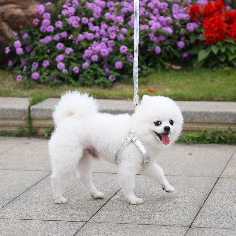 KFX-4046269 Leather Chest Strap and Leash for Dogs and Cats - Scalable Design in Multiple Colors