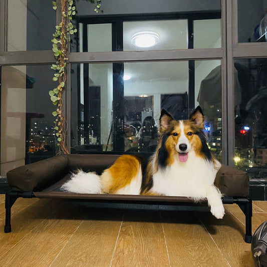 KFX-4051389 Moisture-Proof Pet Camp Bed with Removable Washable Surrounding Border for Medium to Large Dogs
