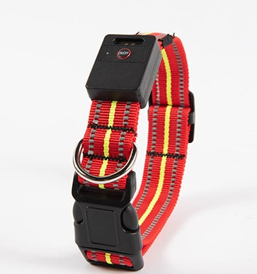 KFX-4054717 Glowing Waterproof Dog Collar with Luminous and Reflective Modes in Red, Blue, Green, and Pink