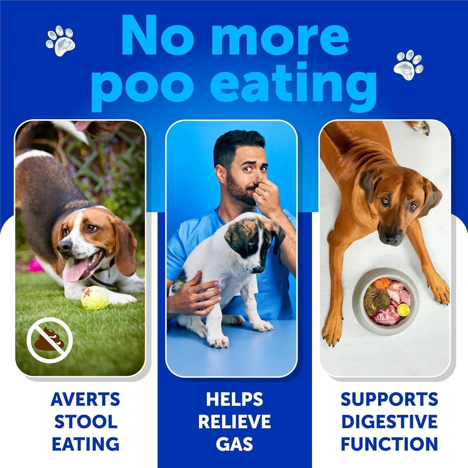 KFX-4058557 Dog Stool Eating Deterrent Chews with Probiotics and Enzymes for Healthy Gut Support