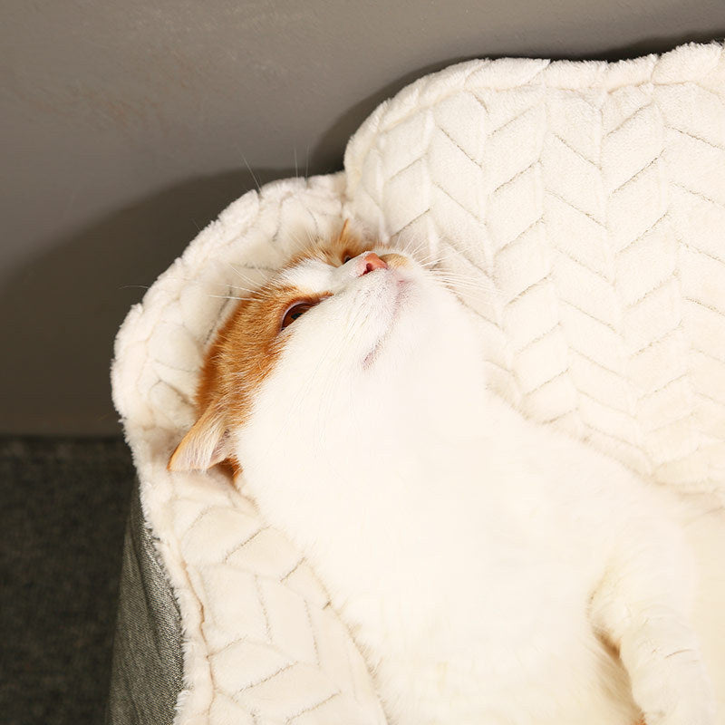 KFX-4062525 Wheat Ear Nest Cat Litter Backrest - Thick Pet Bed in Light Green and Gray White, Small & Medium Sizes