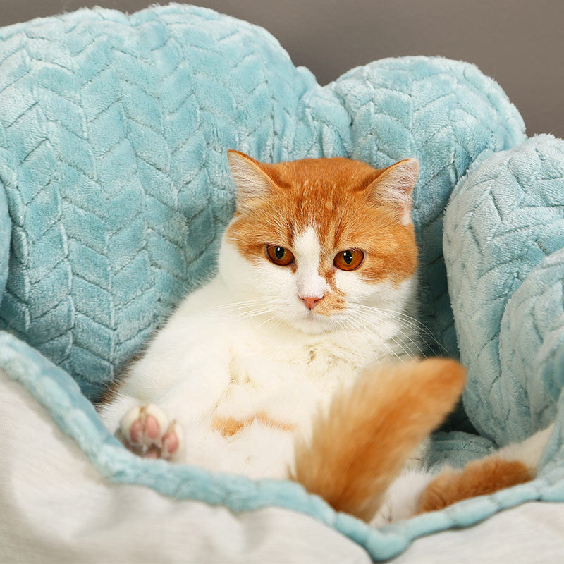 KFX-4062525 Wheat Ear Nest Cat Litter Backrest - Thick Pet Bed in Light Green and Gray White, Small & Medium Sizes
