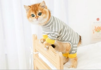KFX-4068413 Casual Cat Clothing for British Shorthair - Anti-Hair Shed Four-Legged Outfit in Various Colors