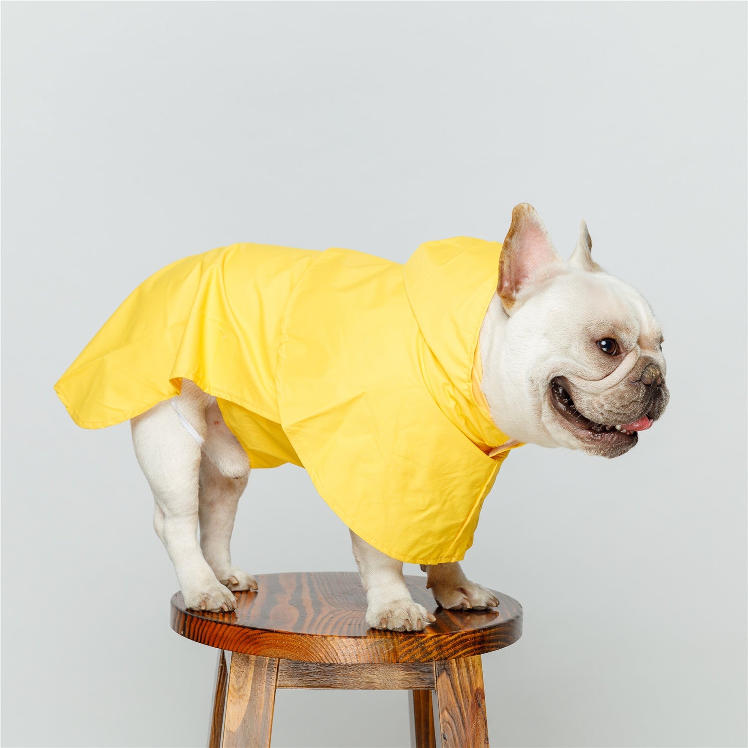 KFX-4072381 Waterproof Reflective Pet Dog Raincoat - Available in Yellow & Gray, Multiple Sizes