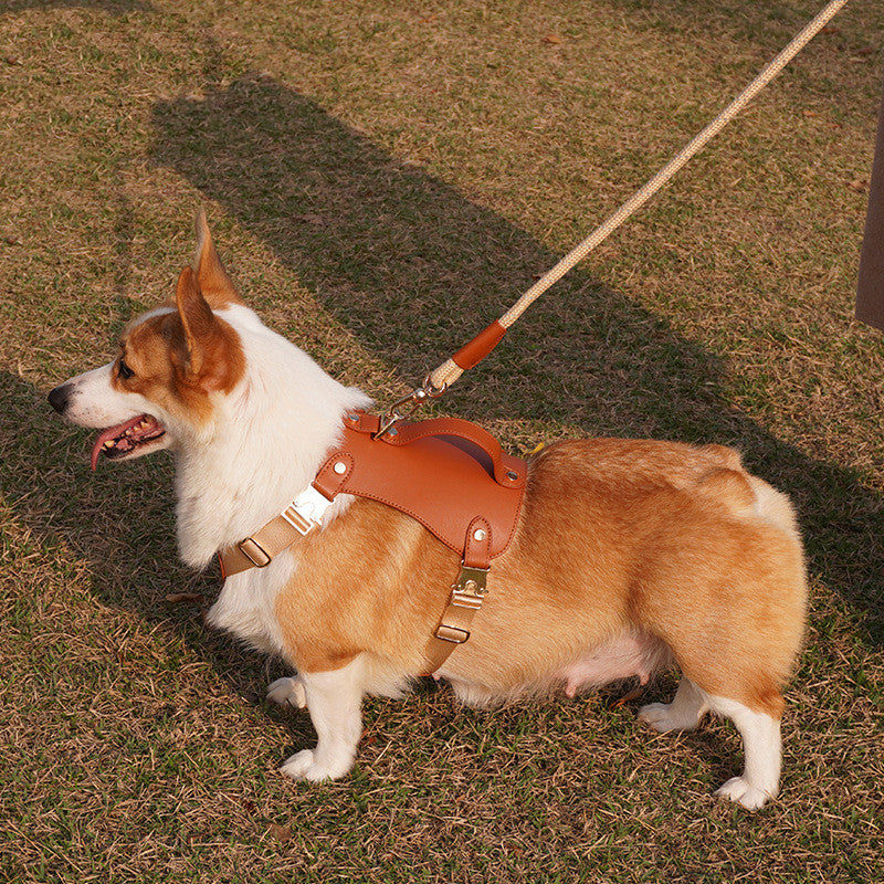 KFX-4073277 Outdoor Microfiber Dog Vest Leash Harness with Tow Rope for Pets Up to 2500kg