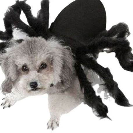 KFX-4074557 Pet Spider Plush Costume for Dogs and Cats - Funny Felt Clothing in Sizes S and M