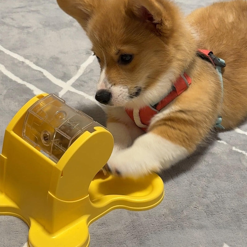 KFX-4080573 Slow Feeding Trainer Puzzle Toy for Dogs and Cats - Available in Yellow, Pink, Green
