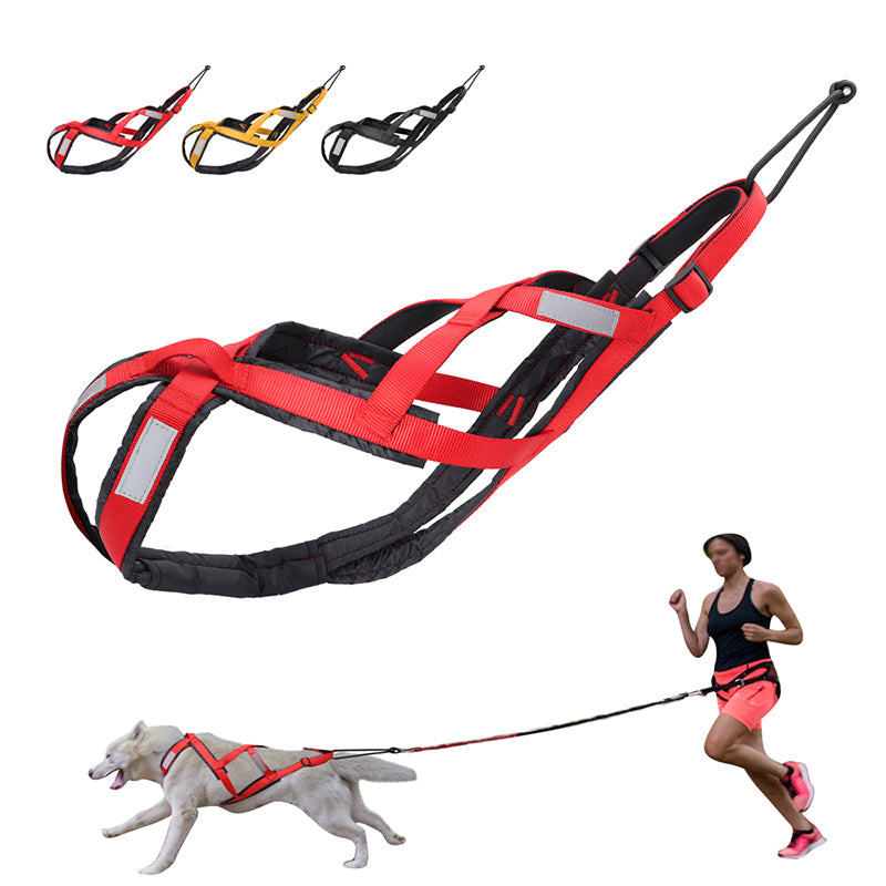 KFX-4084797 Dog Pull Cart Tow Rope with Adjustable Collar - Size M to 3XL in Crimson, Dark Black, and Delicate Yellow