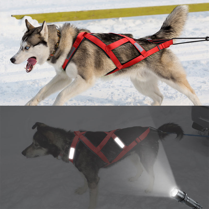 KFX-4084797 Dog Pull Cart Tow Rope with Adjustable Collar - Size M to 3XL in Crimson, Dark Black, and Delicate Yellow