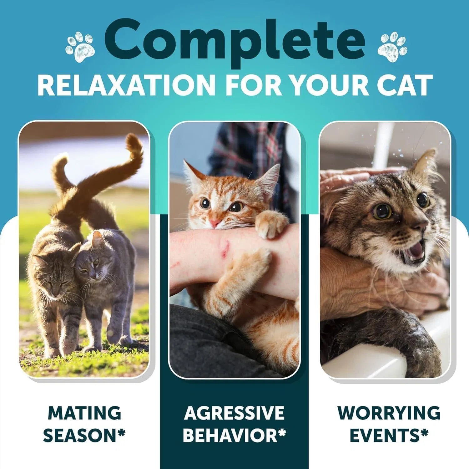 KFX-4091325 Calming Hemp Treats for Cats with Melatonin – Stress and Anxiety Relief Chews for Relaxation