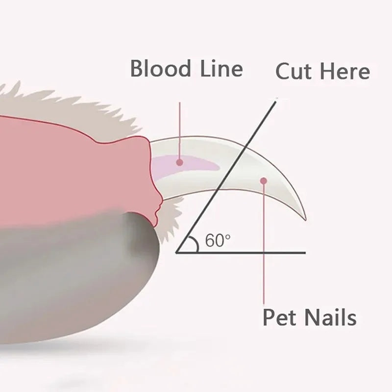 KFX-4092733 LED Light Pet Nail Clippers for Cats and Dogs with Ergonomic Non-Slip Handle