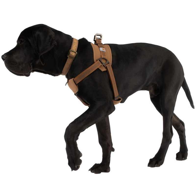 KFX-4095037 Chest Strap Dog Safety Training Belt with Reflective Hand Holding Rope - Size M, L, XL