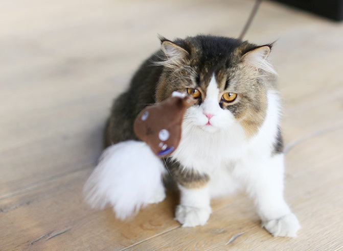 KFX-4096061 Feather Plush Cat Teaser Stick - Bite Resistant Cat Toy